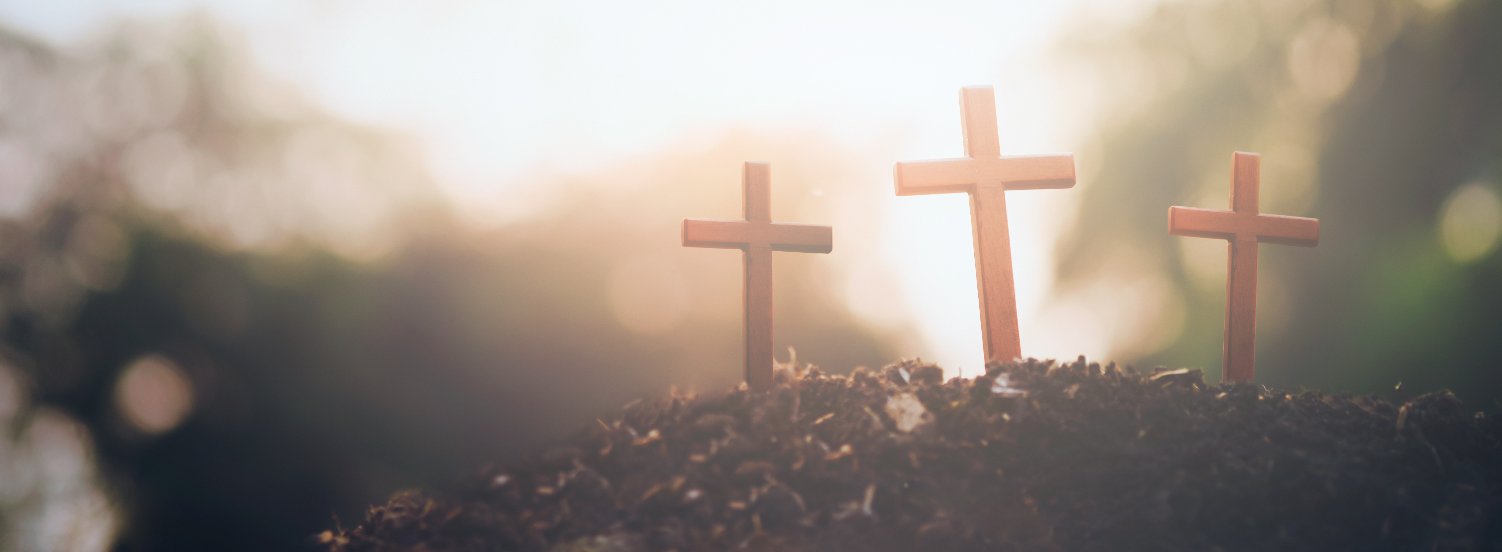 Kevin Wright Cover Image